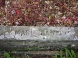 image of grave number 919867
